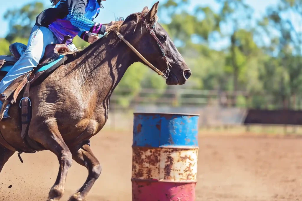 What Is Each-Way in Horse Racing Betting?