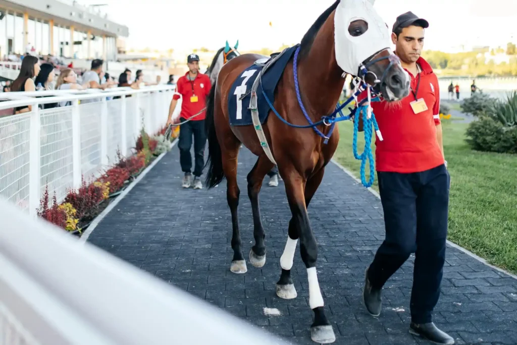 Thrilling Strategies for Horse Racing Betting Success Thrilling Strategies for Horse Racing Betting Success